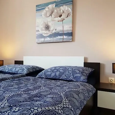 Holiday House D&g * VeliGolji